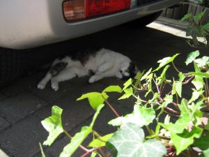 img_0033