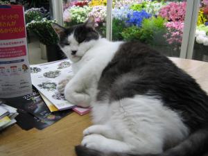 img_0037