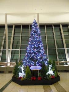 dscn01902