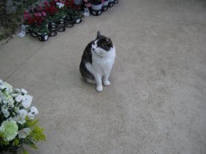 img_0009