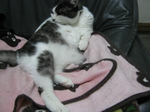 img_0025