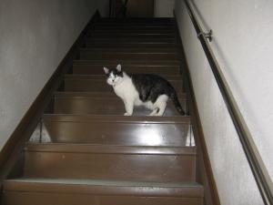 img_0012