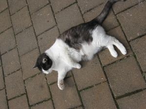 img_00182
