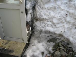 img_00191