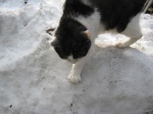 img_0021