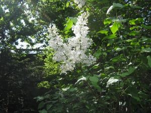 img_0033