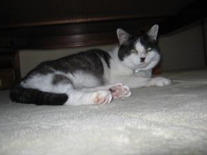 img_0004