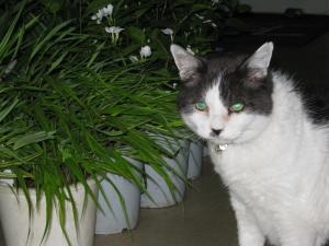 img_0010